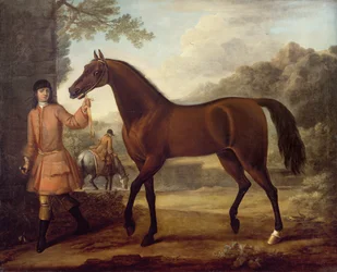 De Godolphin Arabier